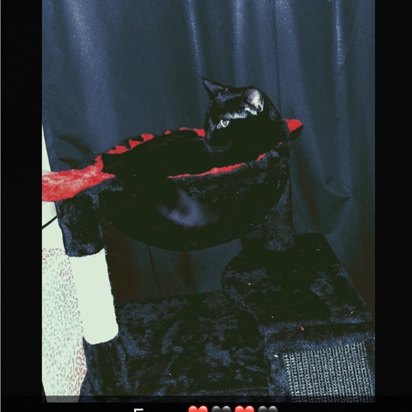 tori_t_715